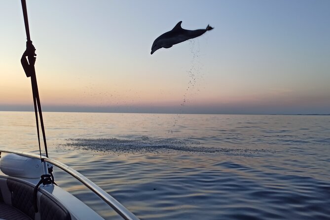 Sunrise Dolphins & Fishermen at Work speedboat tour in Rovinj - Why the fishing boats make this dolphin trip different