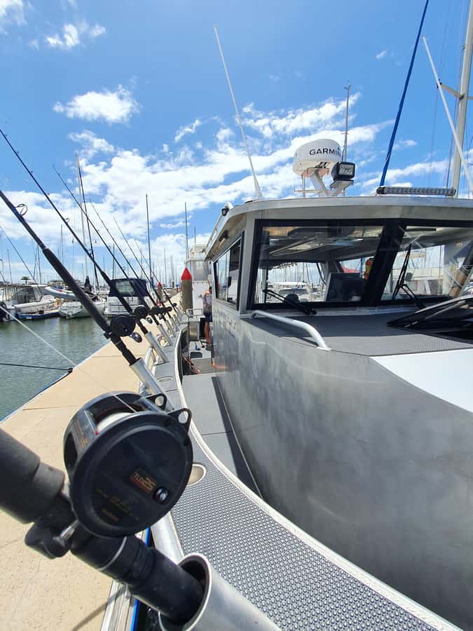 Sunshine Coast: Fishing Charters - A half-day boat trip with real offshore reach