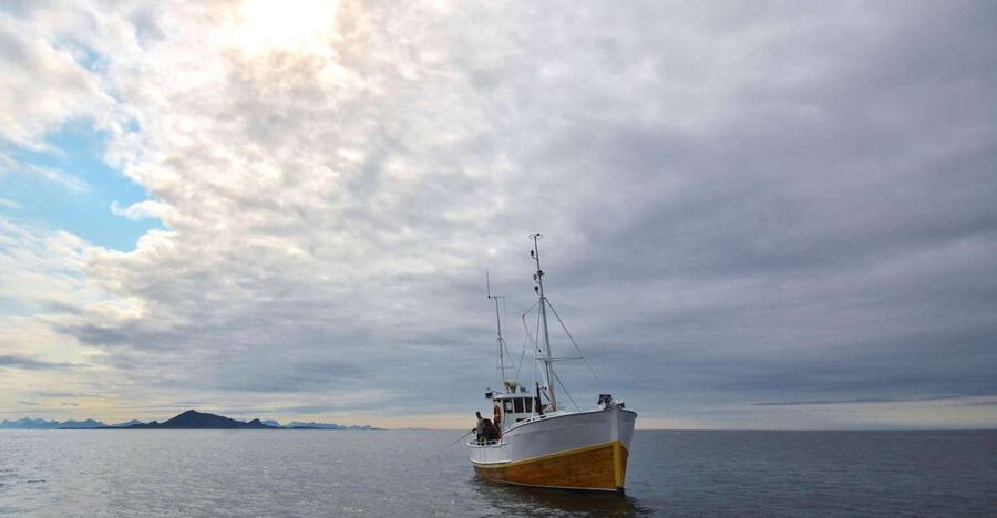 Svolvær: Fishing Trip on the Lofoten Sea - Learning the Basics Before the First Catch
