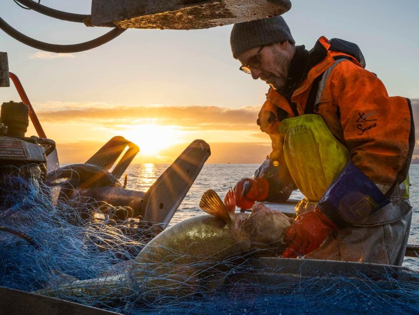 Svolvær: Fishing Trip on the Lofoten Sea - Is $107 a Fair Price?