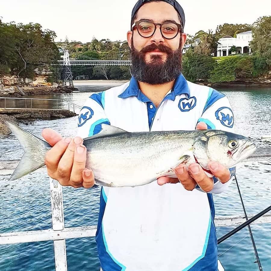 Sydney: Onshore Fishing Experience with Equipment - Three hours at Sydney’s fishing spots