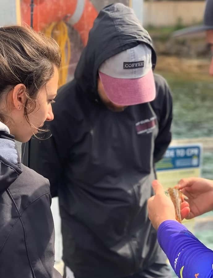 Sydney: Onshore Fishing Experience with Equipment - Who should book this fishing experience?