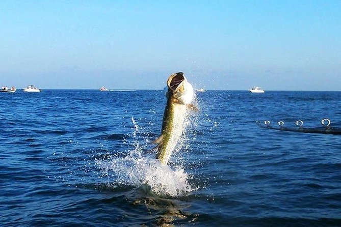 Tampa Bay Inshore Fishing Charters - Main Tampa Bay brings wider water and more movement