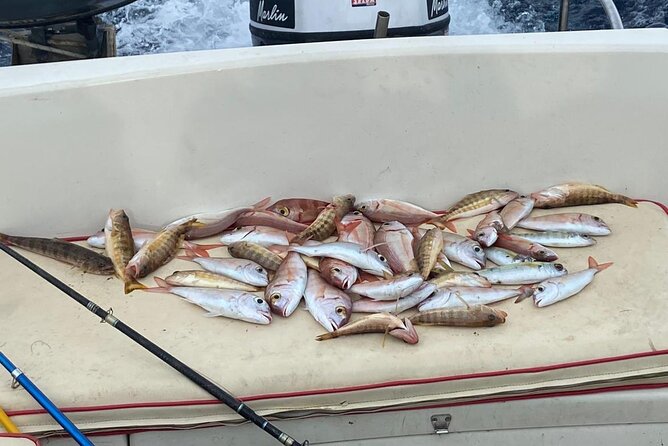 Traditional Fishing Experience in Zakynthos - Is $120.51 a Fair Price?