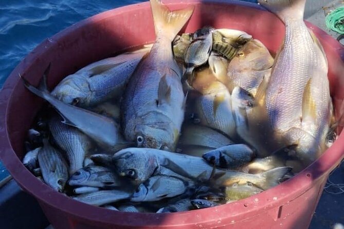 Traditional Mengo Fishing & fish picnic Hvar - Key points to know before booking