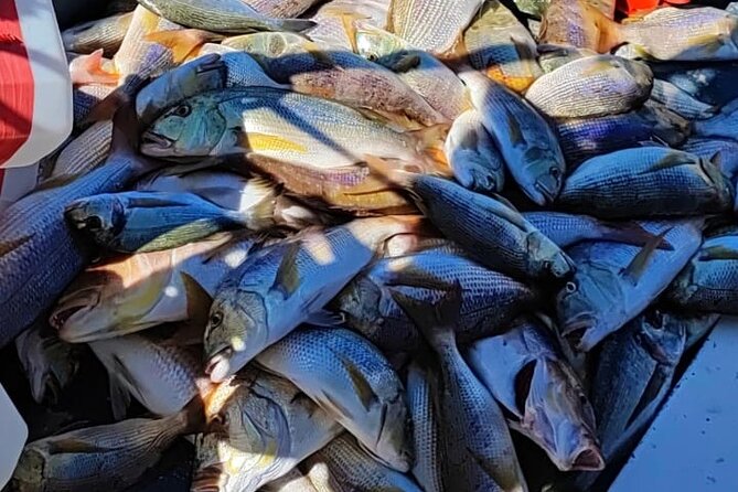 Traditional Mengo Fishing & fish picnic Hvar - Why this is different from a standard Hvar boat trip