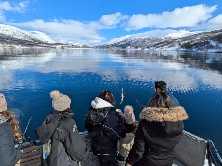 Tromsø: Arctic Fjord Cruise & Fishing Experience - A five-hour Arctic outing with more to do than take photographs