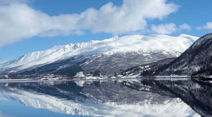 Tromsø: Arctic Fjord Cruise & Fishing Experience - Rya Island and the first views of Arctic wildlife