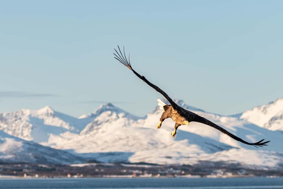Tromsø: Arctic Fjord Cruise & Fishing Experience - Fresh soup, flatbread, and a warm cabin