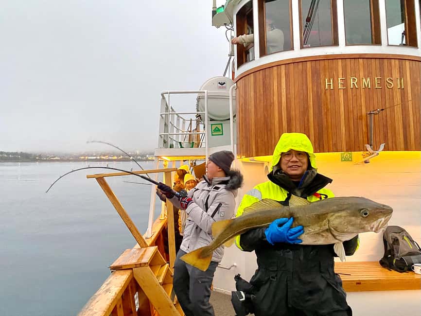 Tromsø: Fishing & Fjord Cruise - Key points to know before you sail