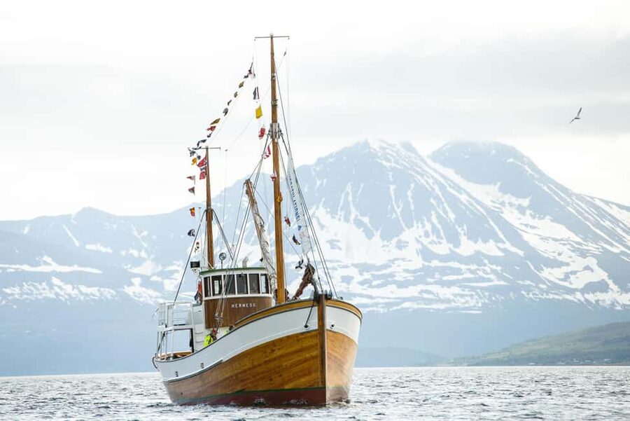 Tromsø: Fishing & Fjord Cruise - Who should book this Tromsø fishing cruise?