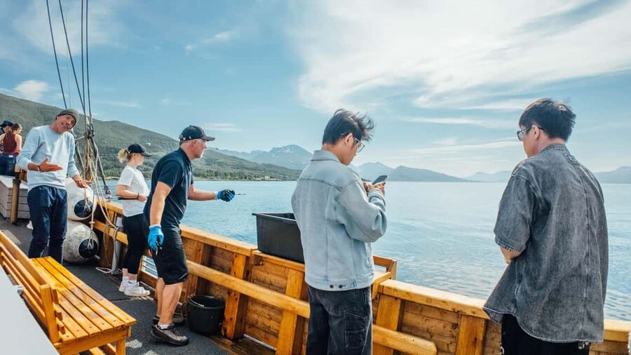 Tromsø: Fishing & Fjord Cruise - What fishing feels like for beginners and families