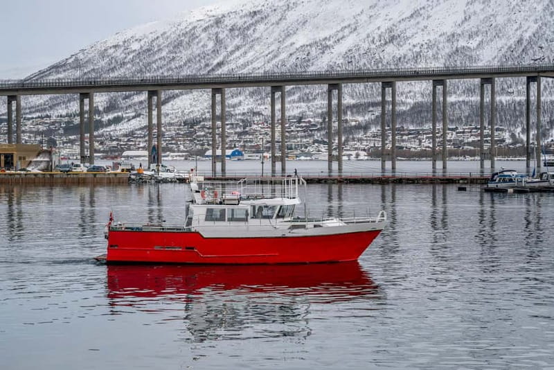Tromsø: Fishing Sea Safari - Key points at a glance