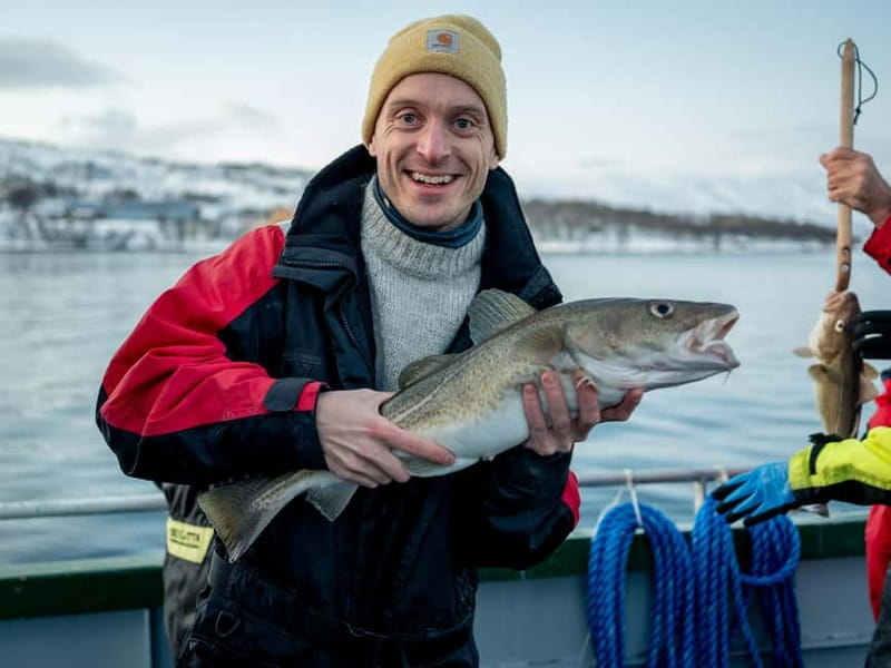 Tromsø: Fishing Sea Safari - Fjords, snow peaks, birds, and changing Arctic weather