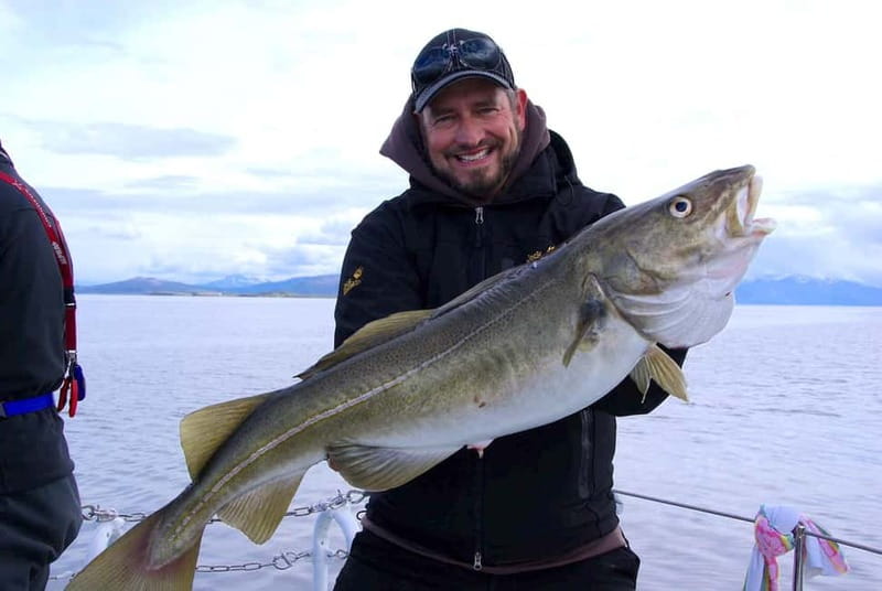 Tromsø: Fishing Sea Safari - What happens when fishing is slow