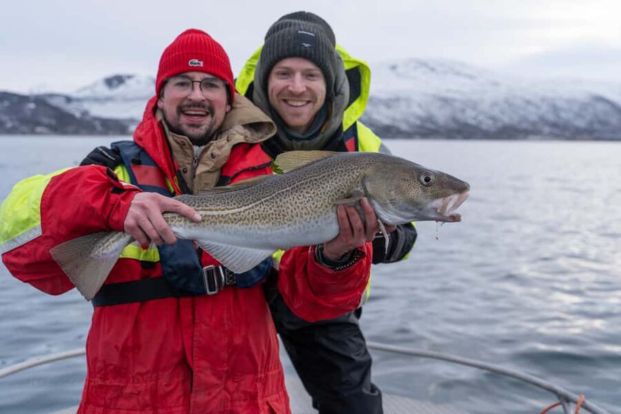 Tromsø: Private Fishing Tour - Starting at Skattøra Marina with a proper safety briefing