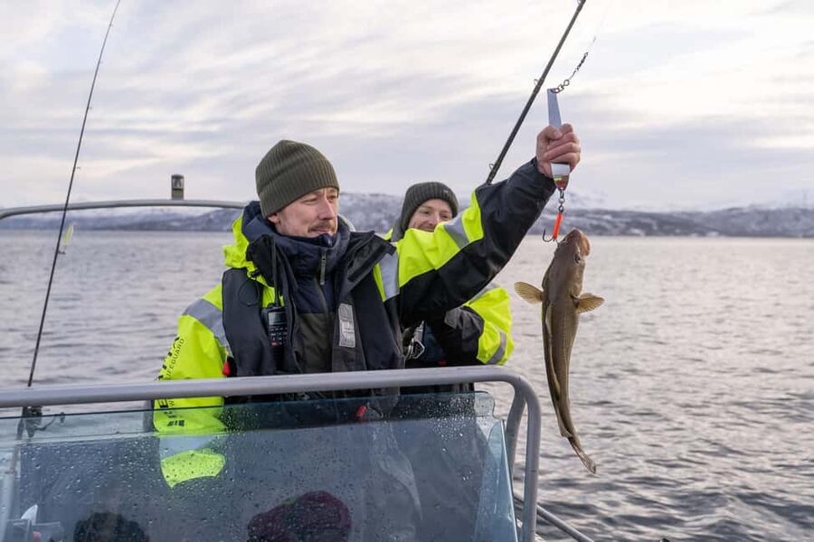 Tromsø: Private Fishing Tour - The 20 to 40 minute ride through Tromsø’s fjords