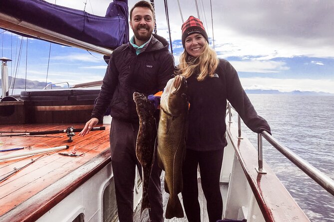 Tromsø Small Group Sea-to-Table Fishing Trip - Setting out from Sjøgata at 10 a.m.