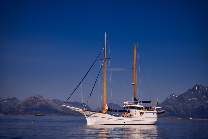 Tromsø Small Group Sea-to-Table Fishing Trip - What lunch means on a sea-to-table trip