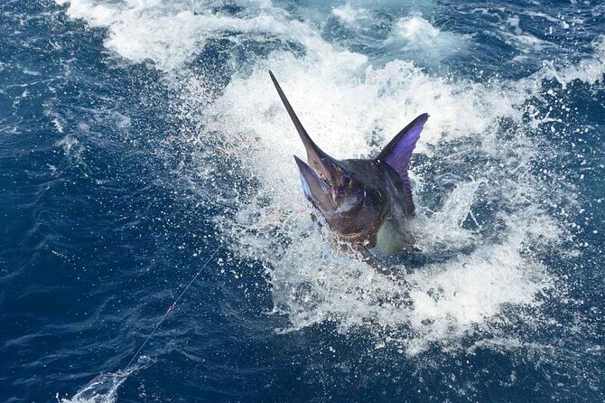 Tulum Deep Sea Fishing Tour - Catching, Cleaning, and Eating Your Fish