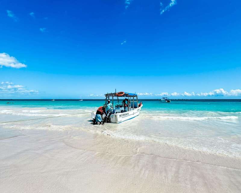 Tulum: Sport Fishing Experience with Ceviche - Who will enjoy this Tulum fishing trip