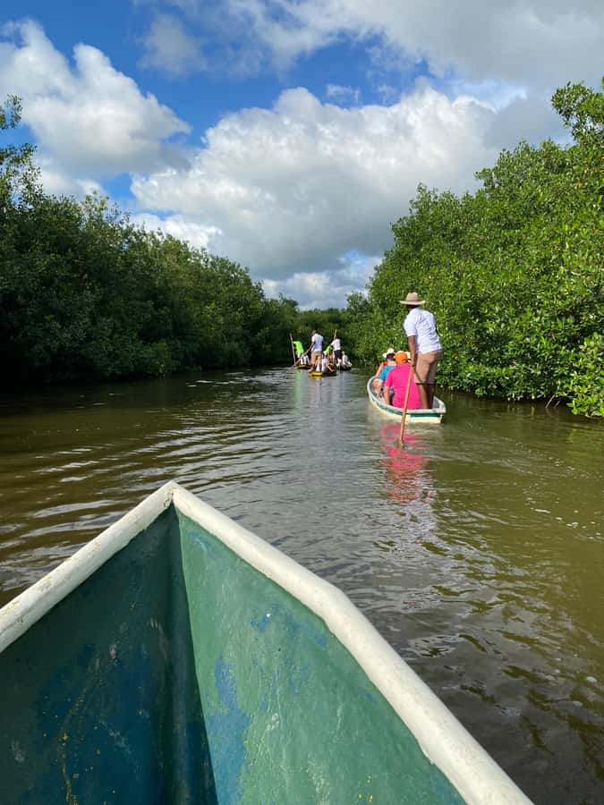Typical lunch on beach, mangrove tour & fishing with natives - Leaving Cartagena for La Boquilla’s coastal community