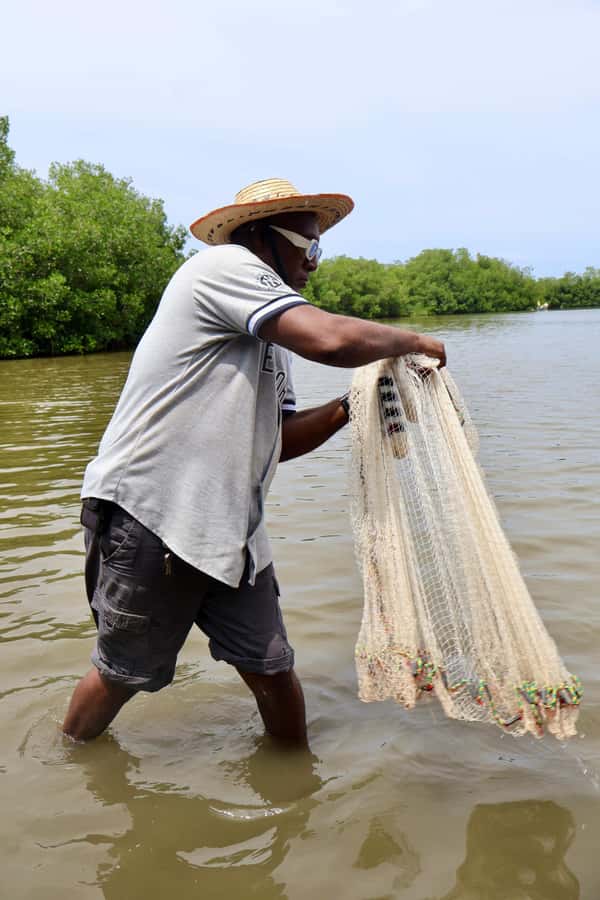 Typical lunch on beach, mangrove tour & fishing with natives - Lunch with a sea view