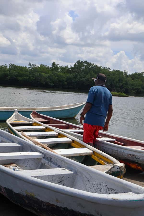 Typical lunch on beach, mangrove tour & fishing with natives - Is the $84 price fair?