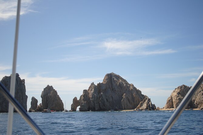 Ultimate Cabo Fishing Experience Aboard the Phantom - Catch-and-release rules and keeping a trophy