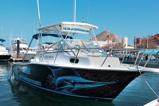 Ultimate Fishing Experience in Cabo - Wildlife sightings that make the wait worthwhile