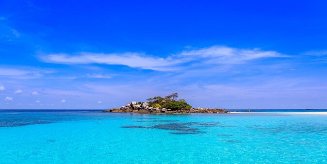 Ultimate Full-Day Big Game Fishing & Trolling Tour - What kind of fishing day is this?