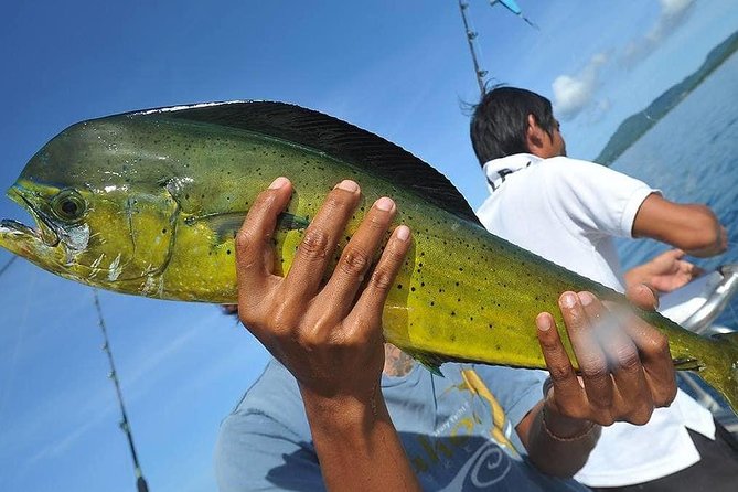 Ultimate Full-Day Big Game Fishing & Trolling Tour - What can change because of weather and season