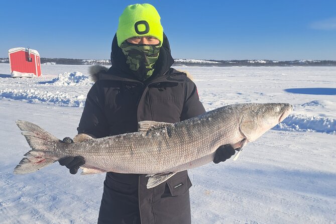 Ultimate Ice Fishing with Lunch - Key points to know before you book
