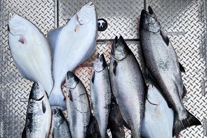 Ultimate Ketchikan Salmon and Halibut Fishing Adventure - Why combine salmon and halibut in Ketchikan?