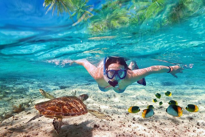 V.I.P Snorkeling & Fishing Tour ( Speed Boat ) Minimum 02 people - Key points to know before you book
