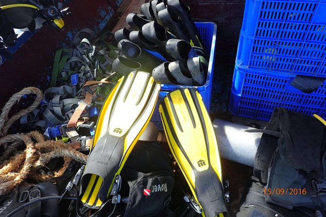 V.I.P Snorkeling & Fishing Tour ( Speed Boat ) Minimum 02 people - Mot Island fishing with modest expectations