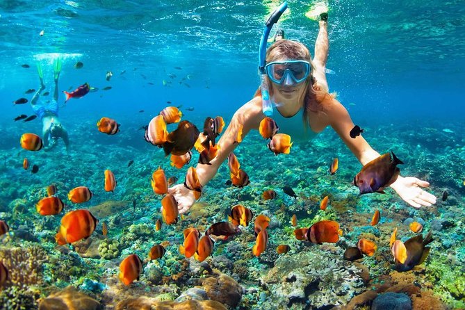 V.I.P Snorkeling & Fishing Tour ( Speed Boat ) Minimum 02 people - The small-group difference