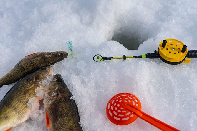 VIP Ice Fishing "ICEBREAKER" Lunch in Glass Igloo - Why the private format changes the value