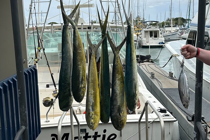 Waikiki Deep Sea Fishing Charter from Oahu - Shimano 80 and 130 reels for a serious day offshore