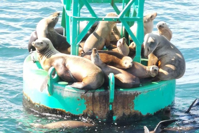 Whale Watching and Fishing Combination Excursions - Why the six-person size matters
