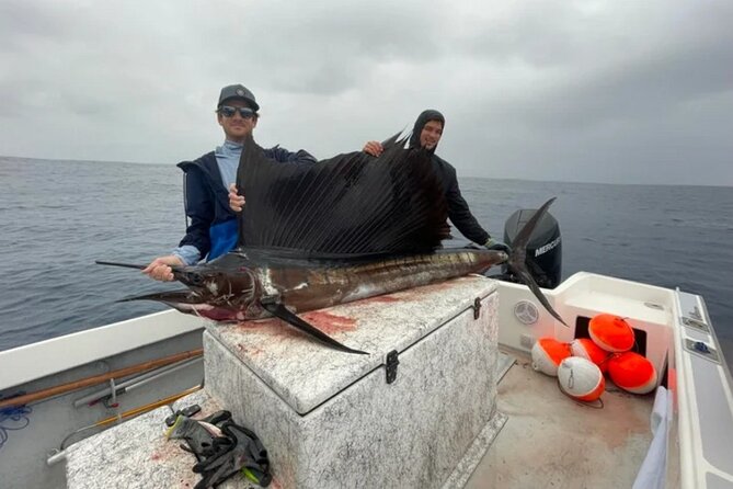 Wholesale Fishing in Poti Marara at Tahiti Teahupoo Peninsula - A traditional boat with a practical purpose