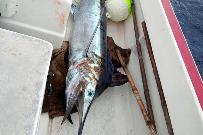 Wholesale Fishing in Poti Marara at Tahiti Teahupoo Peninsula - How this compares with a standard fishing outing