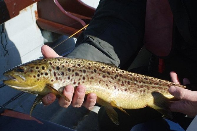 Wild Brown Trout fishing. Lough Corrib. French speaking Ghillie/Guide. Full day. - Who should book this fishing trip?