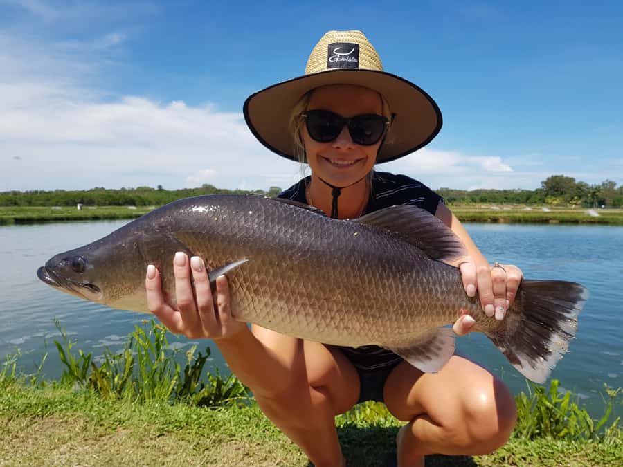 Wonga Beach: Hook-A-Barra Fishing Experience - Key points to know before you cast