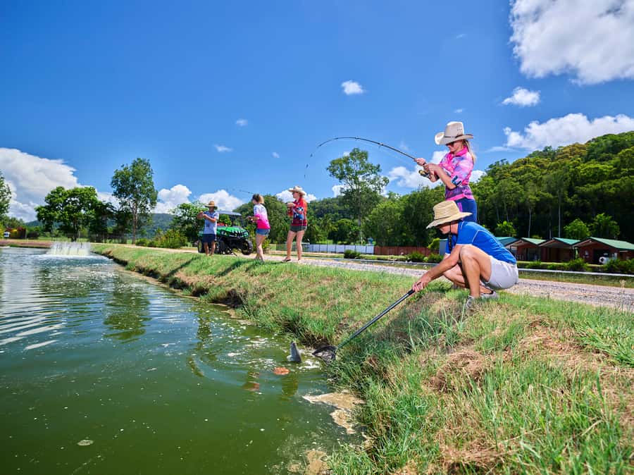Wonga Beach: Hook-A-Barra Fishing Experience - Why barramundi make such good sport