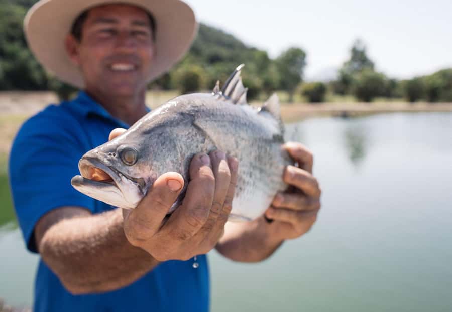 Wonga Beach: Hook-A-Barra Fishing Experience - The 90-minute Hook-A-Barra session