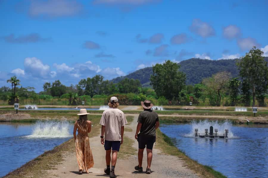 Wonga: Guided Fishing, Farming and Tasting Tour - Why this Daintree farm visit is more than a fishing lesson