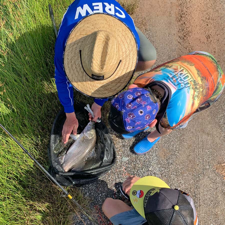 Wonga: Guided Fishing, Farming and Tasting Tour - Seeing baby barra and growing fish
