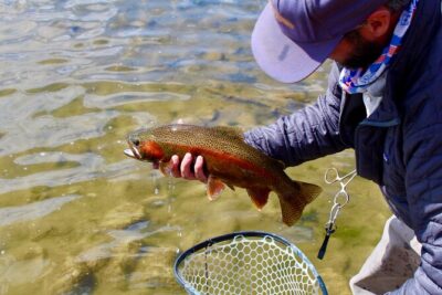 Yellowstone Full Day Wade Fishing Trip