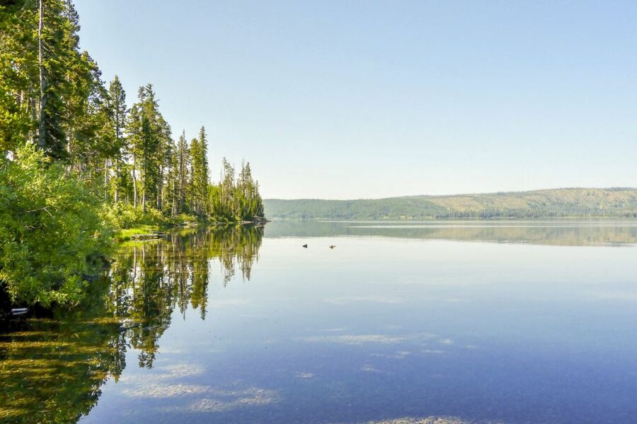 Yellowstone: Private Lewis Lake Fishing Trip From Jackson - Who should book this Lewis Lake trip?